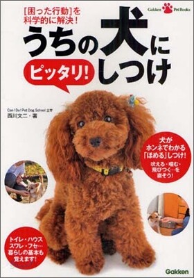 うちの犬にピッタリ!しつけ