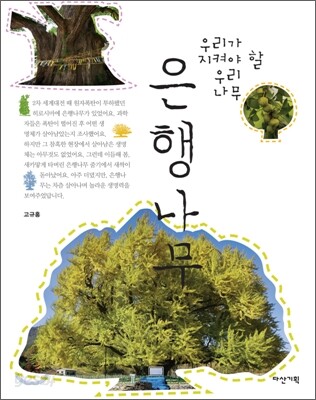 은행나무