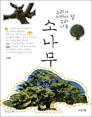 소나무
