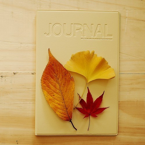 [paperpack] Solid cover for Journal