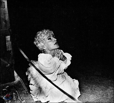 Deerhunter — Halcyon Digest 앨범 커버