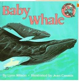 Baby Whale (Reading Railroad)