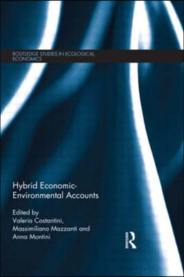 Hybrid Economic-Environmental Accounts