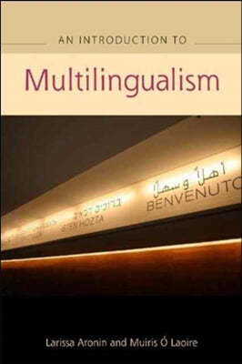 An Advanced Guide to Multilingualism