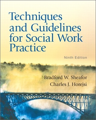 Techniques and Guidelines for Social Work Practice, 9/E