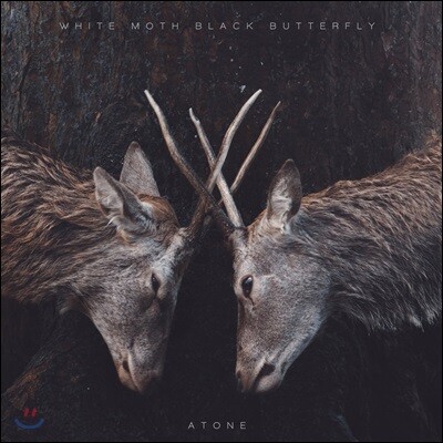 White Moth Black Butterfly — Atone 앨범 커버