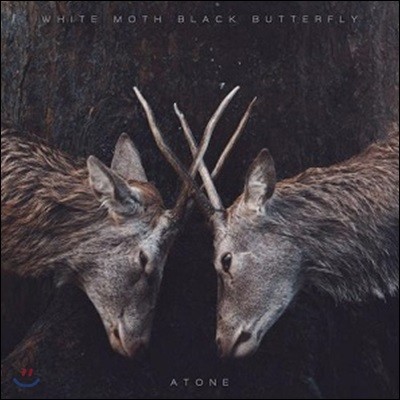 White Moth Black Butterfly (ȭƮ   ö) - Atone