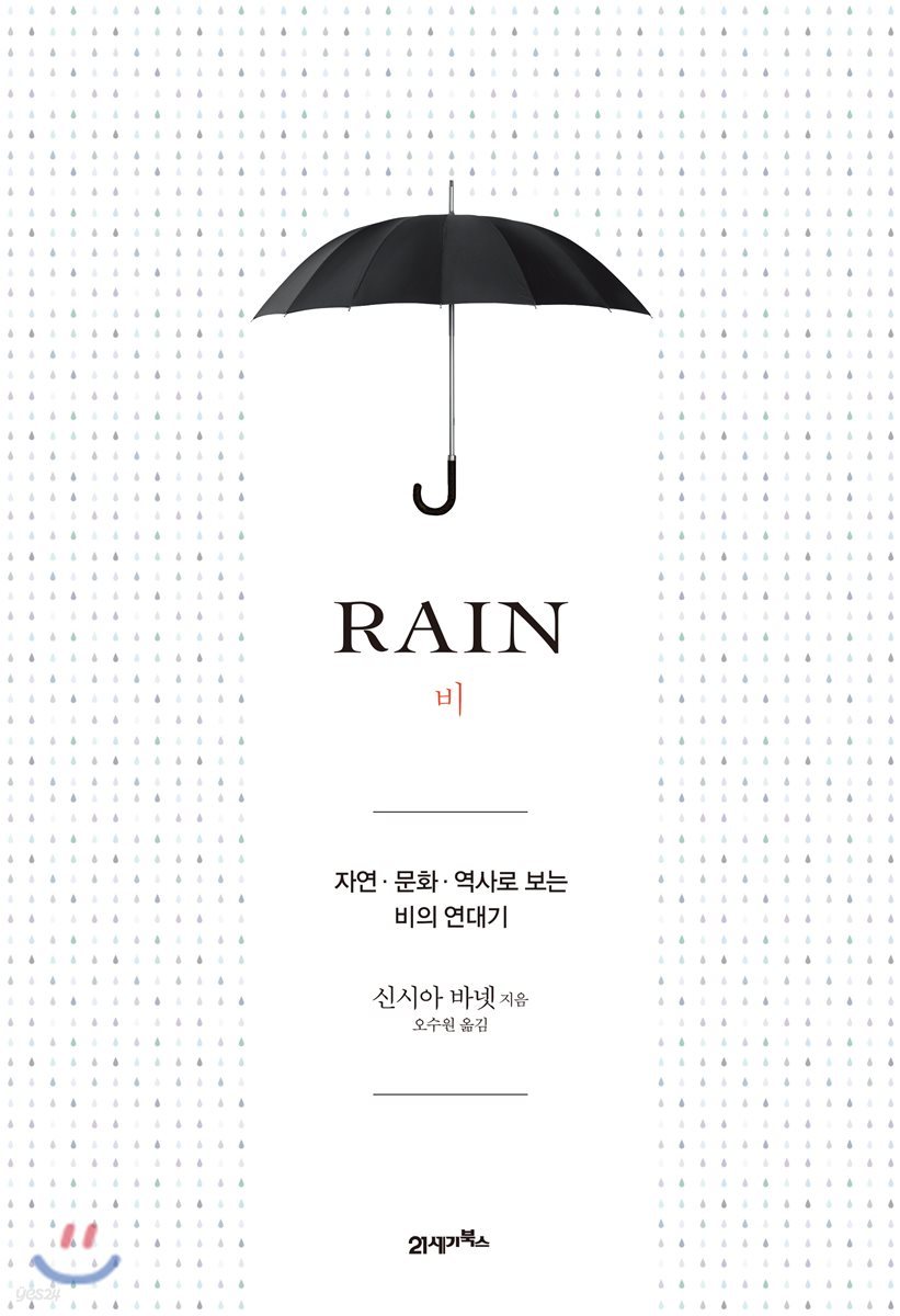 비 (RAIN)