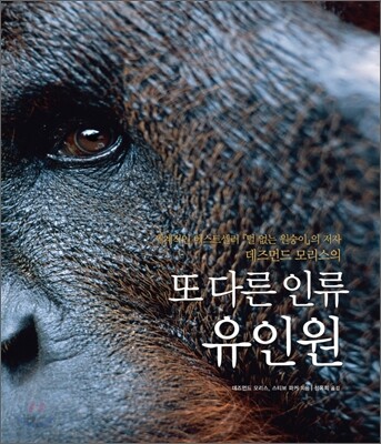 또 다른 인류 유인원