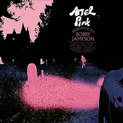 Ariel Pink — Dedicated To Bobby Jameson 앨범 커버