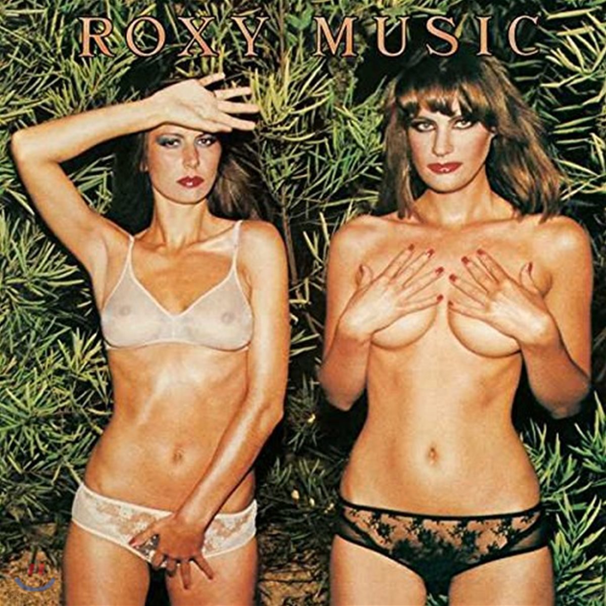 Roxy Music (록시 뮤직) - Country Life [LP]
