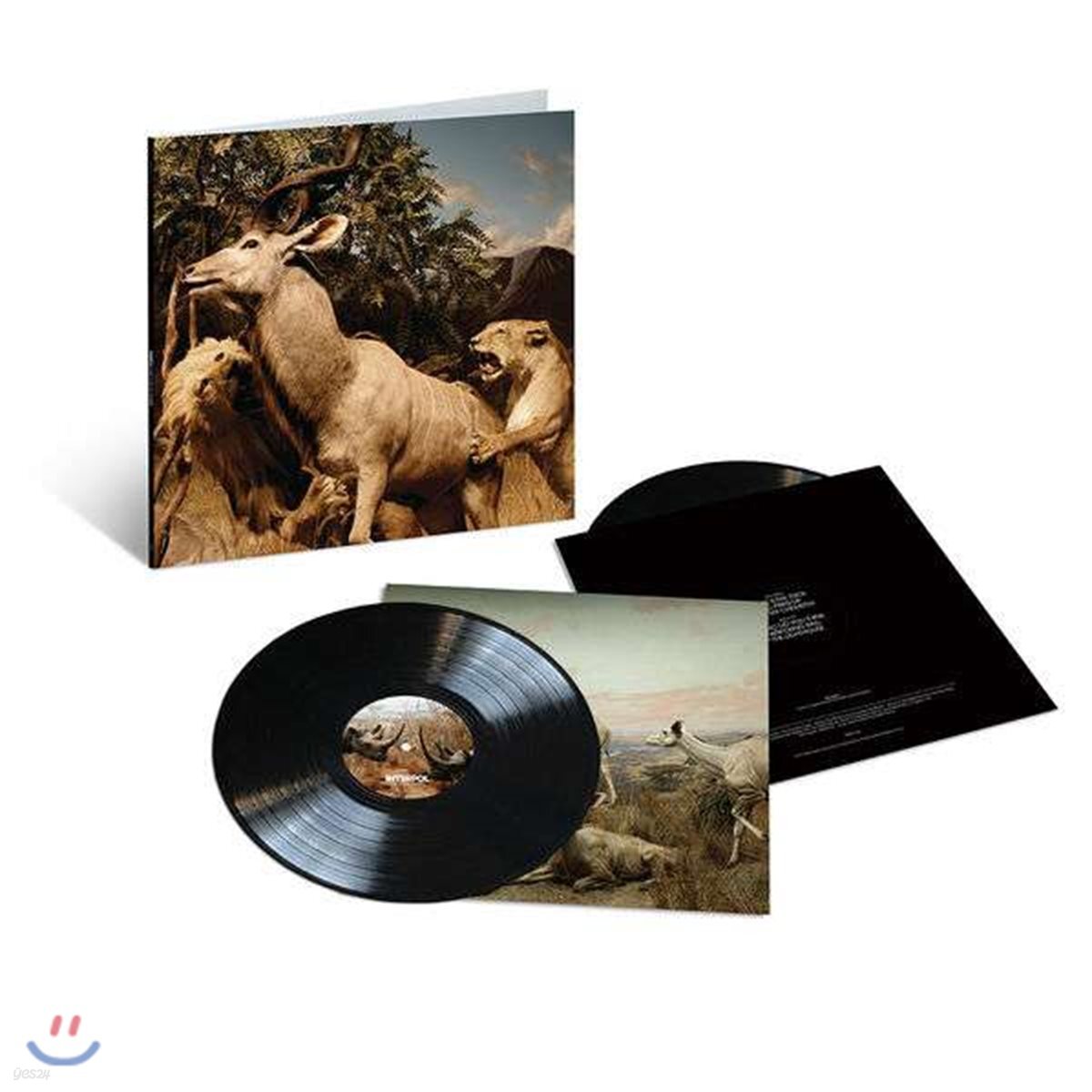 Interpol (인터폴) - Our Love To Admire (10th Anniversary Edition) [2 LP]