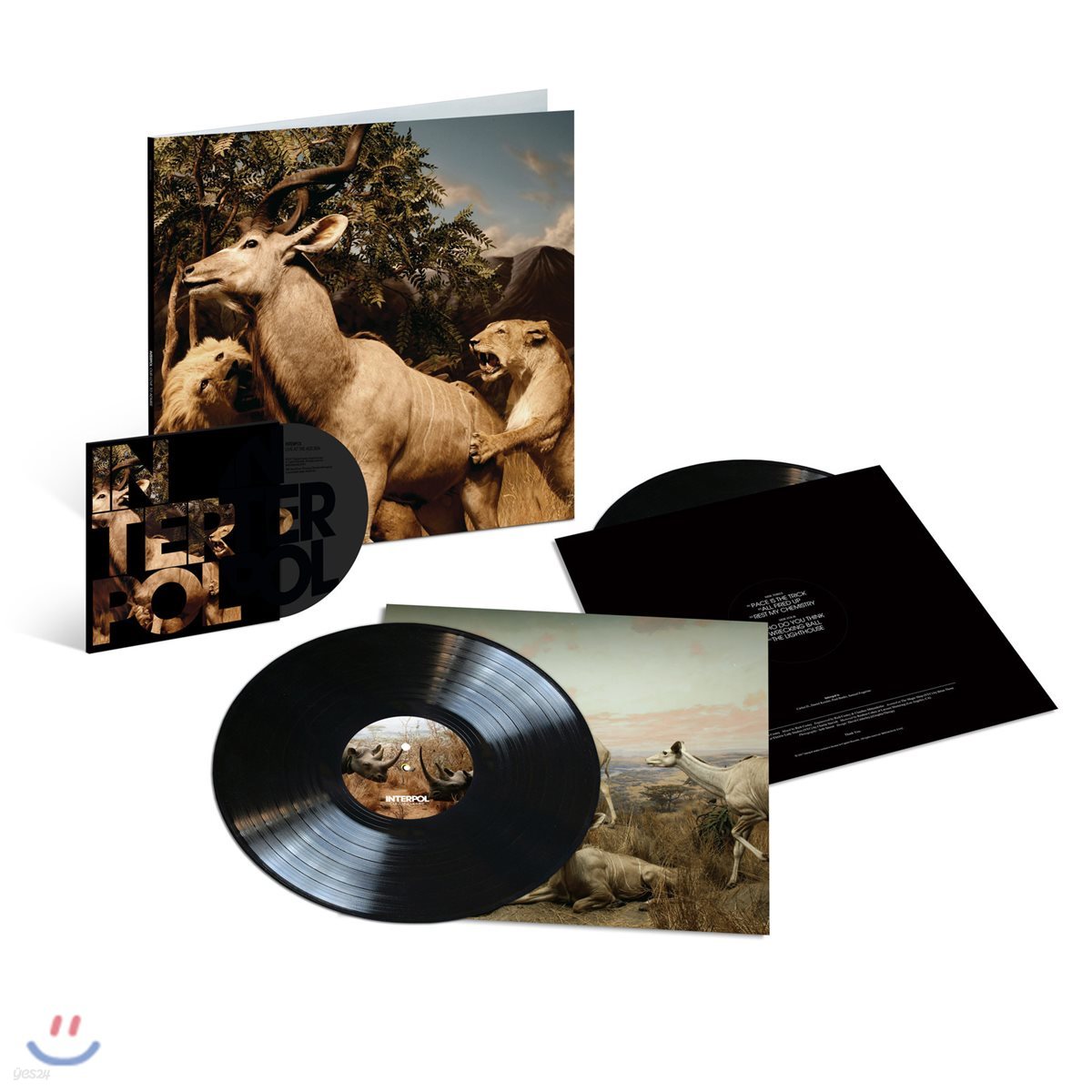 Interpol (인터폴) - Our Love To Admire (10th Anniversary Edition) [2 LP + DVD]