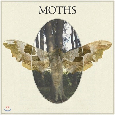 Moths — Moths 앨범 커버