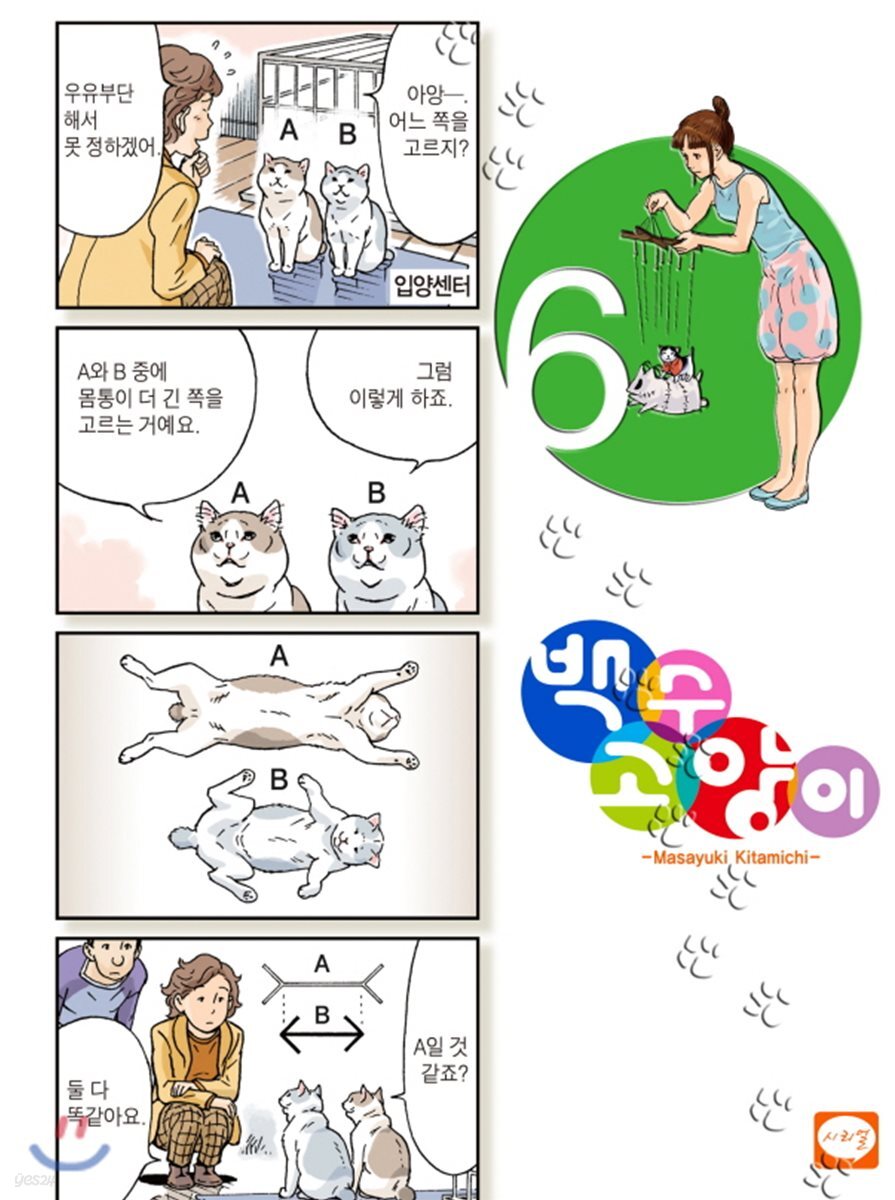 백수 고양이 6