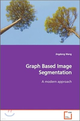 Graph Based Image Segmentation A modern approach