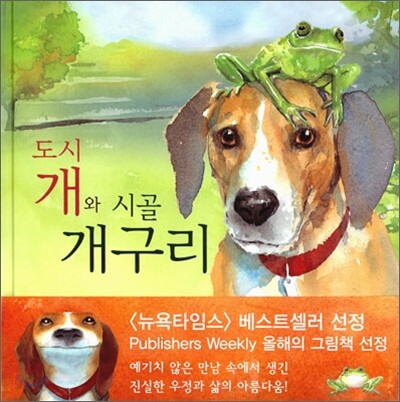 도시 개와 시골 개구리