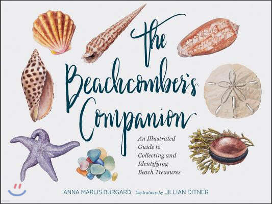 The Beachcomber's Companion: An Illustrated Guide to Collecting and Identifying Beach Treasures (Watercolor Seashell and Shell Collecting Book, Bea