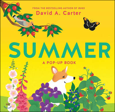 Summer: A Pop-Up Book  ˾
