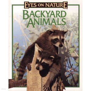 Backyard animals (Eyes on nature)-고화질 사진