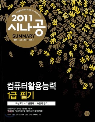 2011 시나공 SUMMARY 컴퓨터활용능력 1급 필기