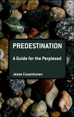 Predestination: A Guide for the Perplexed