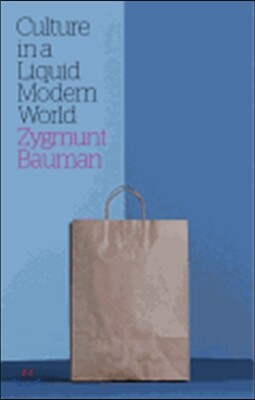 Culture in a Liquid Modern World