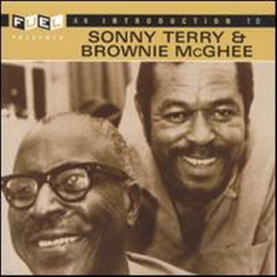 Sonny Terry & Brownie Mcghee - Introduction to Sonny Terry & Brownie McGhee (Remastered)