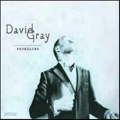 David Gray - Foundling (LP)