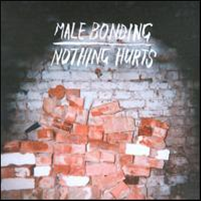 Male Bonding - Nothing Hurts (Digipack)