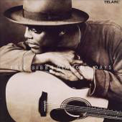 Eric Bibb - Diamond Days (CD)