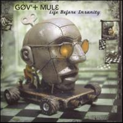 Gov't Mule - Life Before Insanity