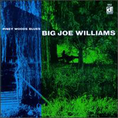 Big Joe Williams - Piney Woods Blues (CD)