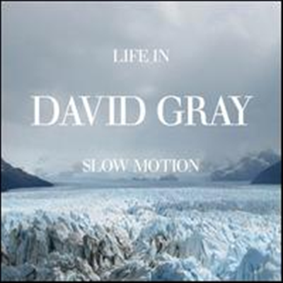 David Gray - Life in Slow Motion