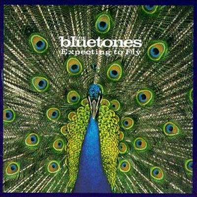 Bluetones - Expecting To Fly (CD)