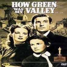 [DVD] How Green Was My Valley - ޼  (̰)