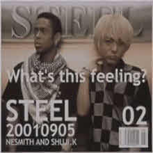 Steel - What's This Feeling? (Ϻ/single/flcf3878)