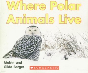 Where Polar Animals Live