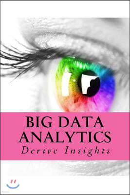 Big Data Analytics: Derive Insights
