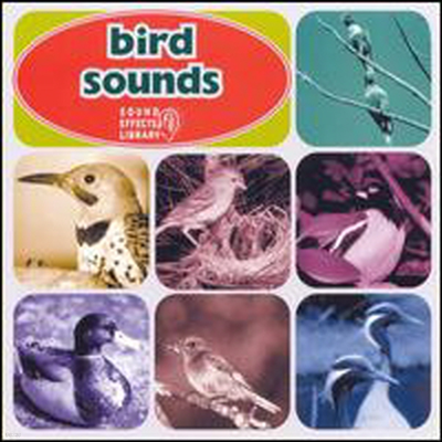 Various Artists - Bird Sounds
