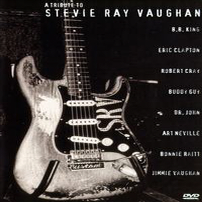 Various Artists - A Tribute to Stevie Ray Vaughan (ڵ1)(DVD)