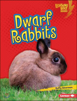 Dwarf Rabbits | Silverman | Lerner Publishing Group - 예스24