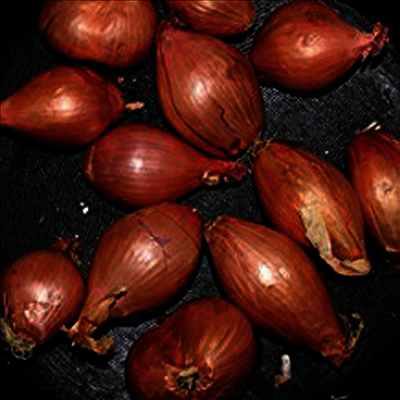 Ty Segall — Fried Shallots (EP) 앨범 커버