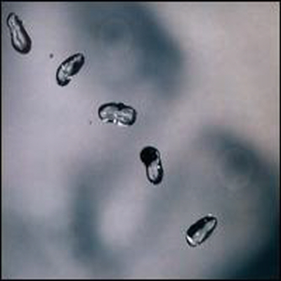 Peter Gabriel - Up (Remastered)(Digipack)(CD)