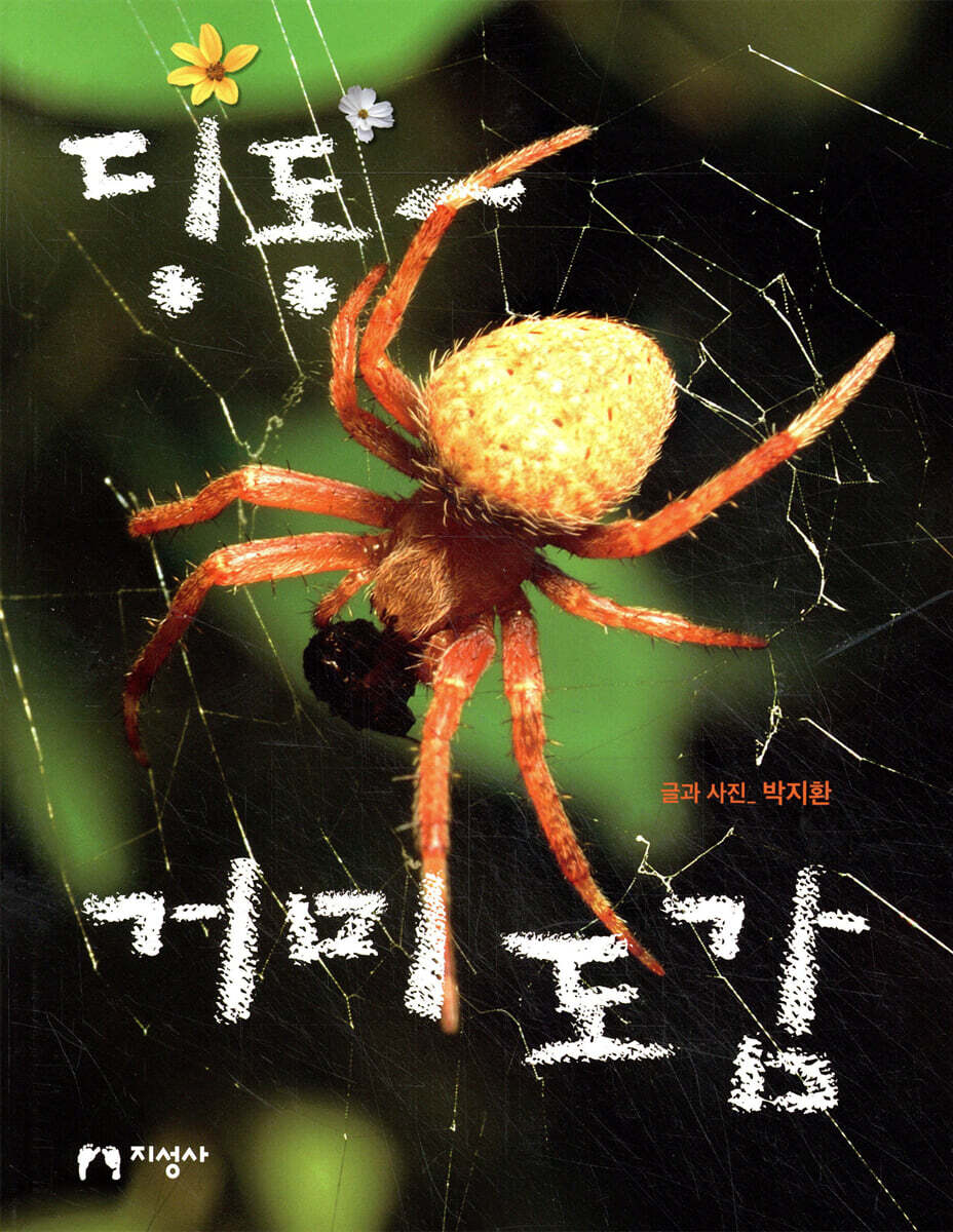 딩동~ 거미 도감