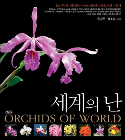 세계의 난