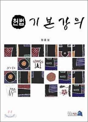 헌법 기본 강의