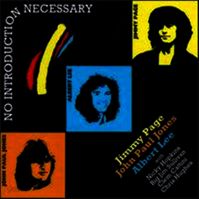 Jimmy Page / John Paul Jones / Albert Lee - No Introduction Necessary (LP)