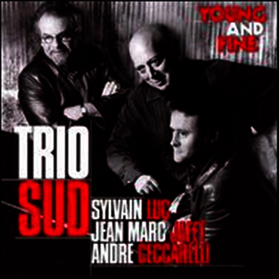 Sylvain Luc/Trio Sud - Young & Fine