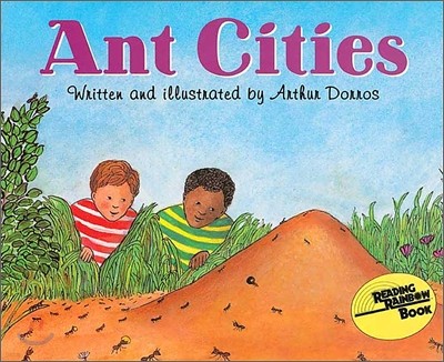 Ant Cities